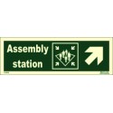 ASSEMBLY STATION SIDE RIGHT UP  (10x30cm) Phot.Vin. IMO sign 114323