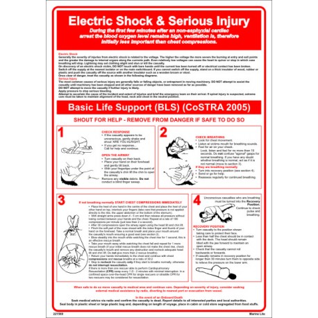 Póster ELECTRIC SHOCK & SERIOUS INJURY Póster  (45x32cm) White Vin. IMO symbol 221569WV